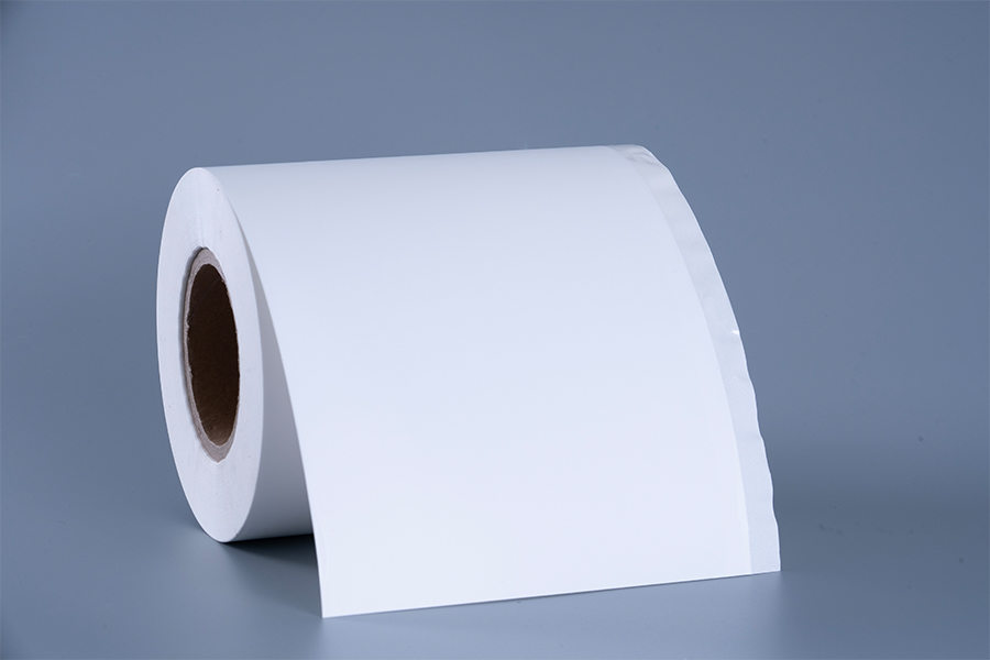 Dondurulmuş Gıda Etiketi